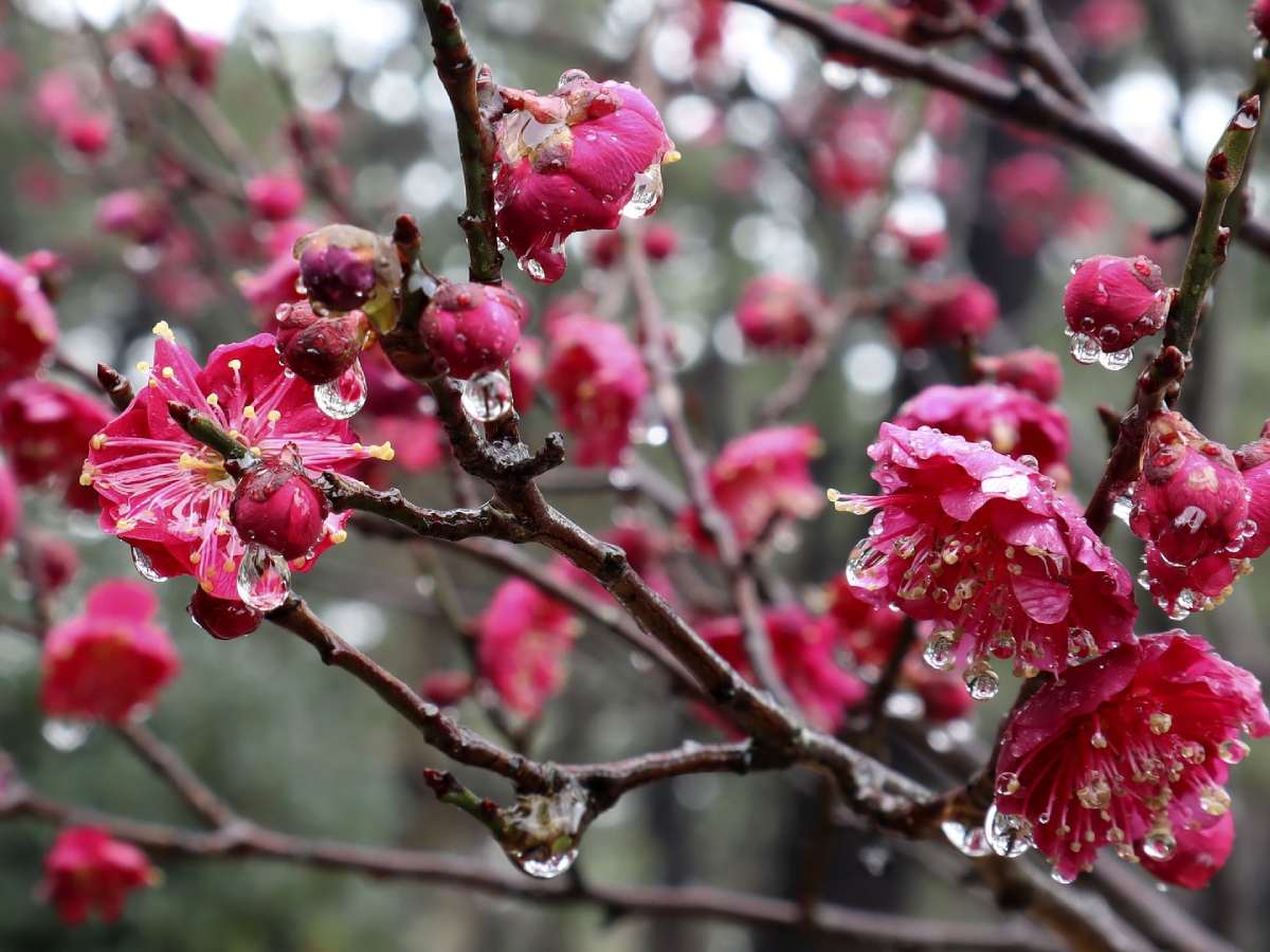 майские праздники