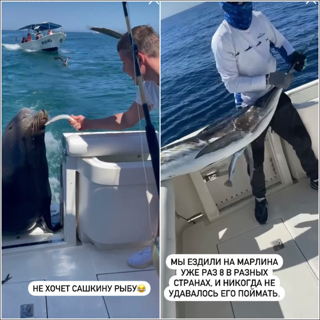 «Малиновский