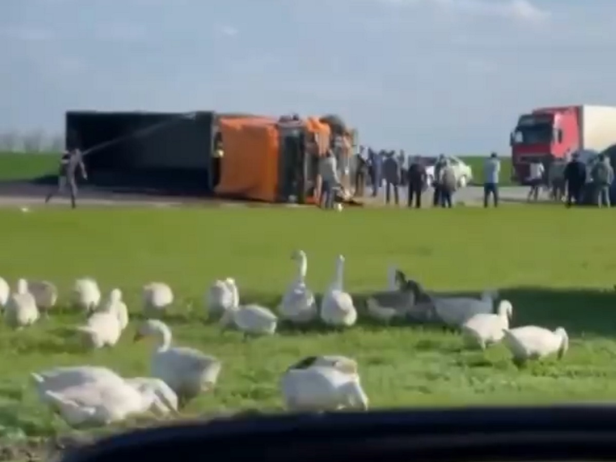 Авария под Ставрополем унесла жизни юных спортсменок