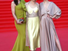 Звезды на Красной дорожке ММФК-43 (3)