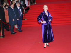 Звезды на Красной дорожке ММФК-43 (51)