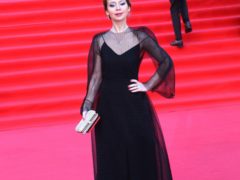 Звезды на Красной дорожке ММФК-43 (54)