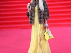 Звезды на Красной дорожке ММФК-43 (71)