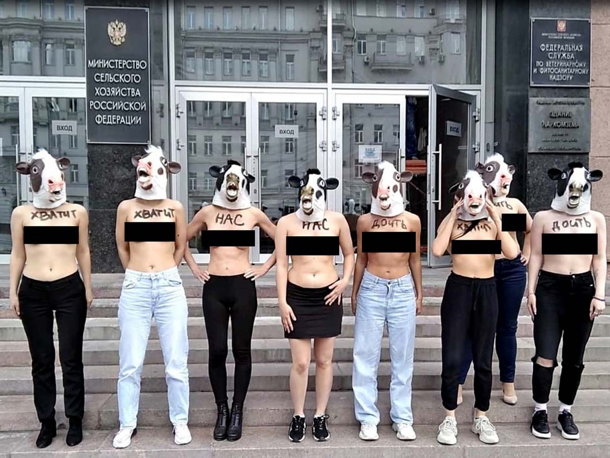 Зоозащитницы разделись ради коров