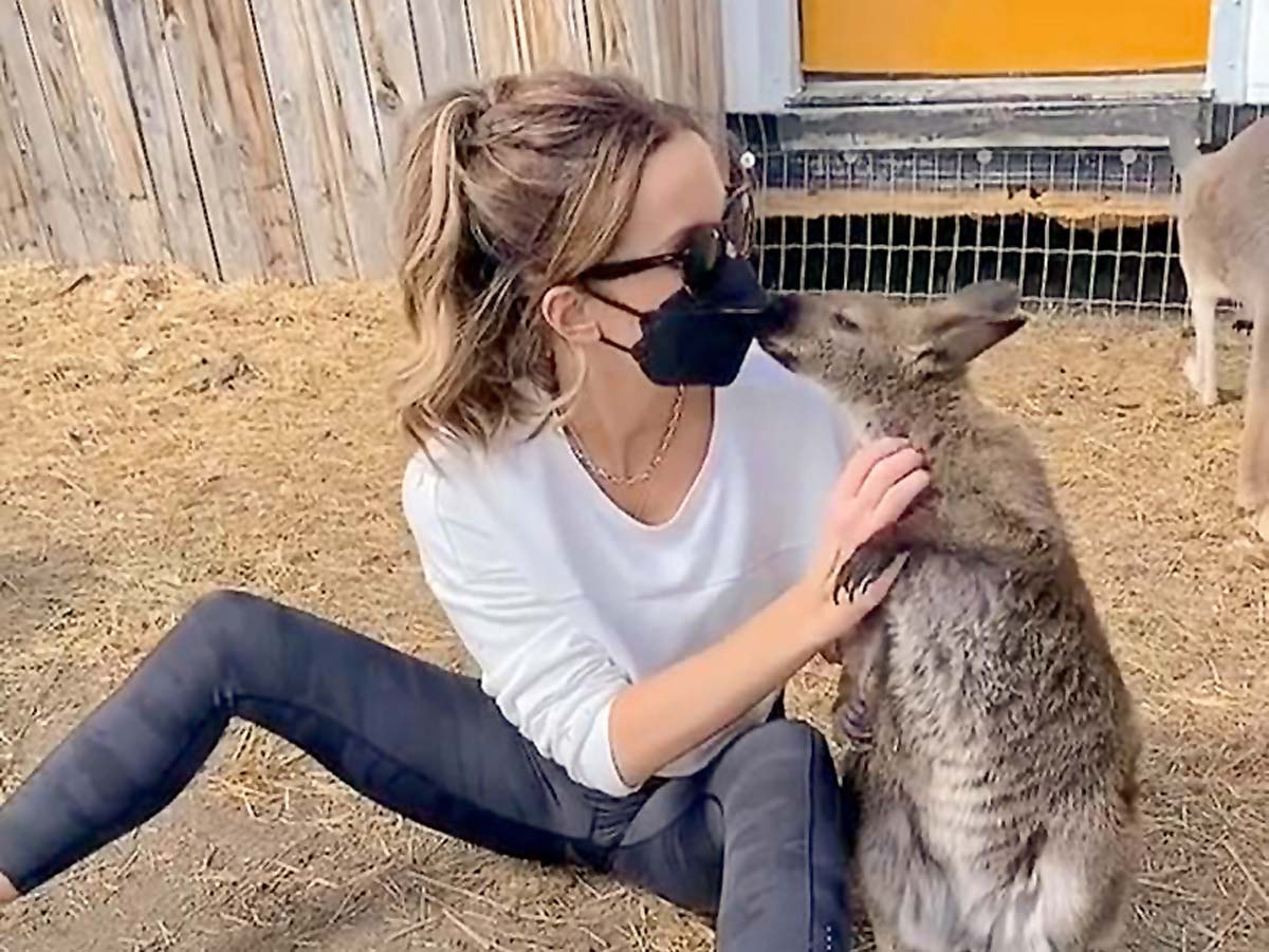 Кейт Бекинсейл заменила кролика на кенгуру