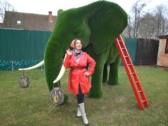 Фото предоставлены PR-службой