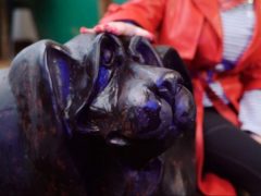 Фото предоставлены PR-службой