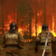 Рукотворные пожары на лесозаготовках помогают скрывать хищения на сотни миллионов рублей