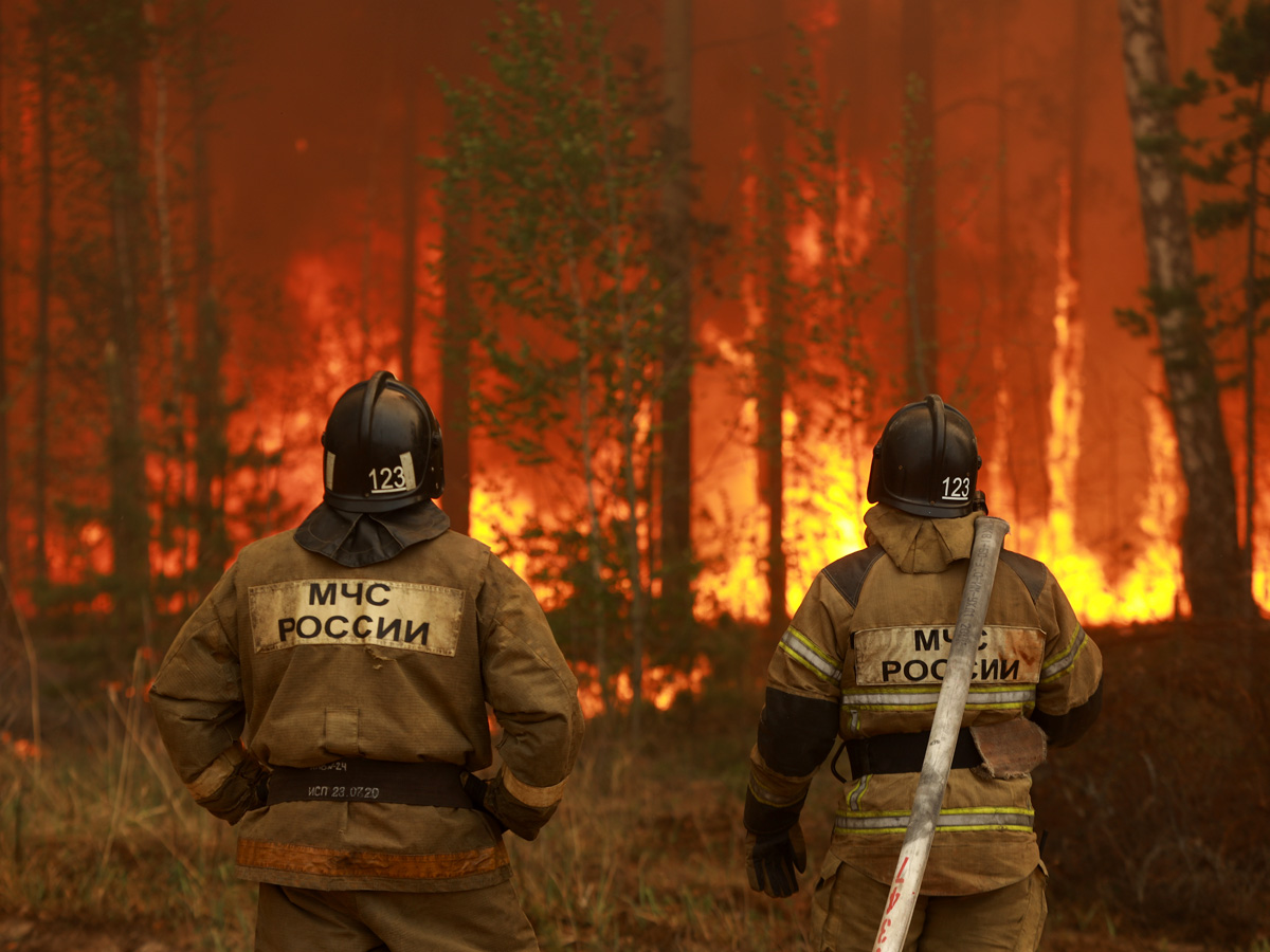 Рукотворные пожары на лесозаготовках помогают скрывать хищения на сотни миллионов рублей