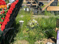 Могила Александры Назаровой. Фото: «Экспресс газета»