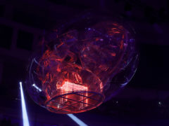 «Премия МУЗ-ТВ 20/21. Начало Света». Фото: PR-служба