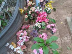 Могила Нины Дорошиной. Фото: «Экспресс газета»