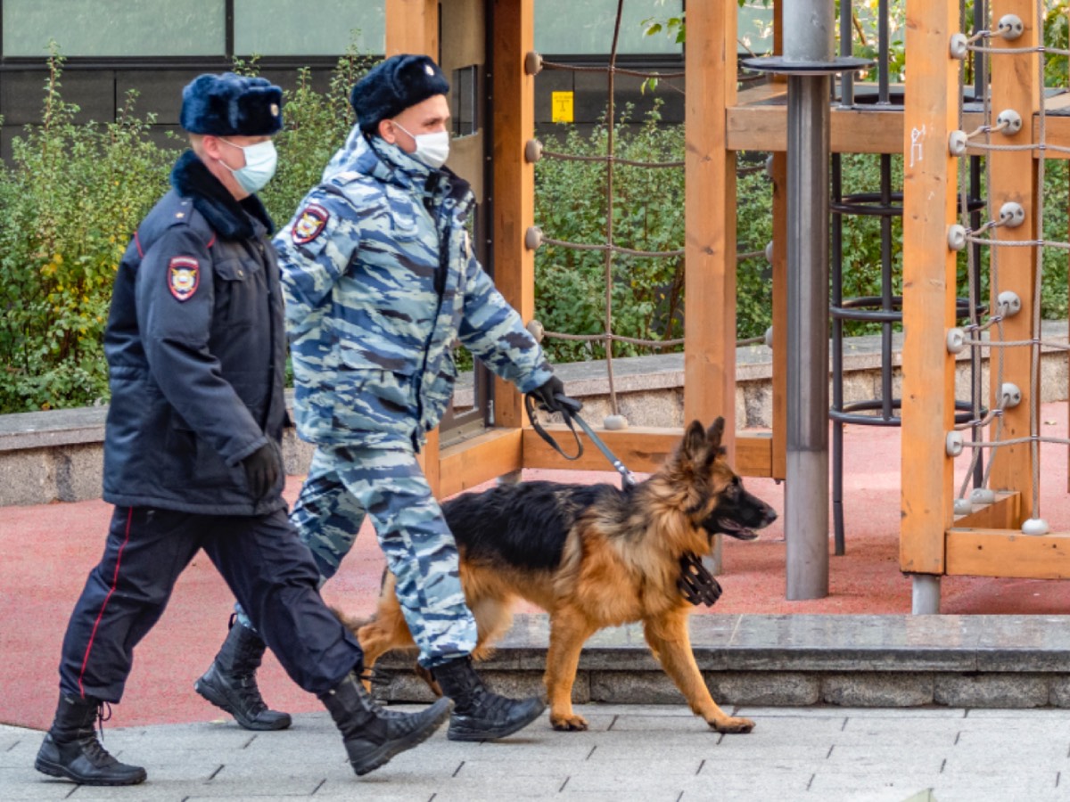 Полиция не смогла найти убийц Панина