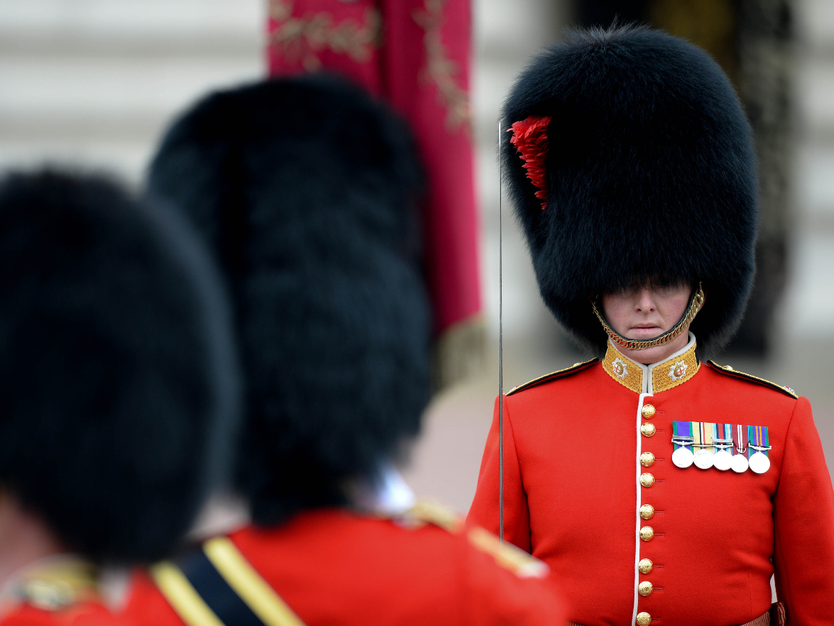 В Лондоне королевский гвардеец сбил ребенка 