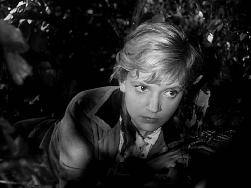 «Майор-Вихрь»