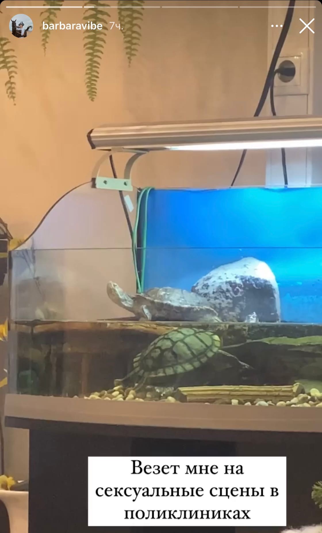 В Stories у дочери Якубовича