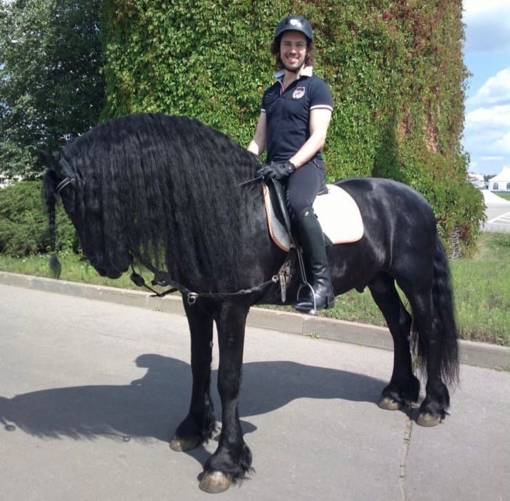 В Stories у Максима Галкина**