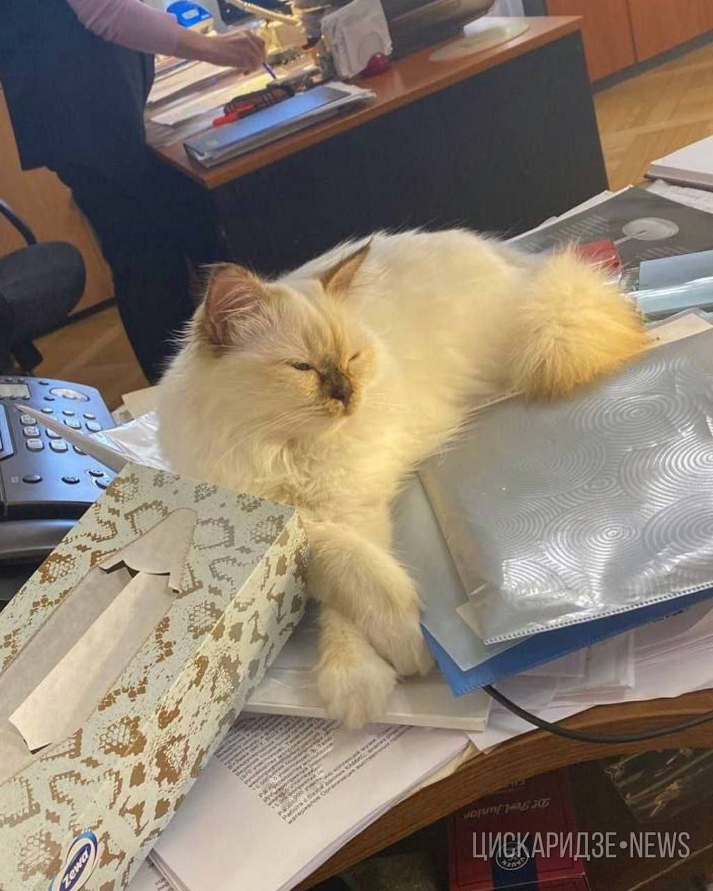 photo_2022-03-24_12-46-58