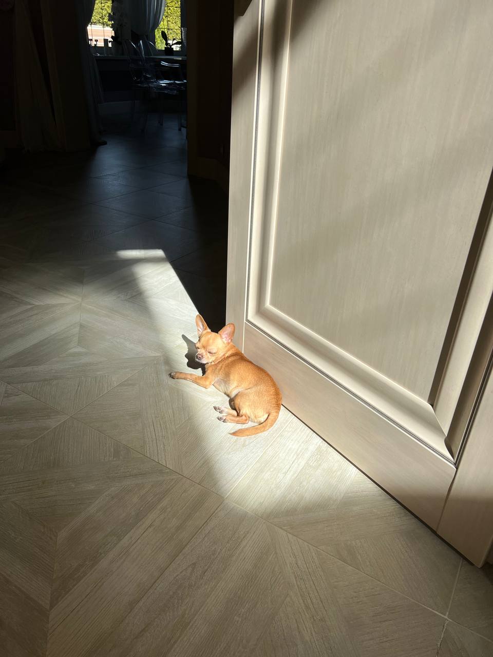 «Моя копия»: после заявления о разводе Юлия Ковальчук предъявила очаровательного малыша