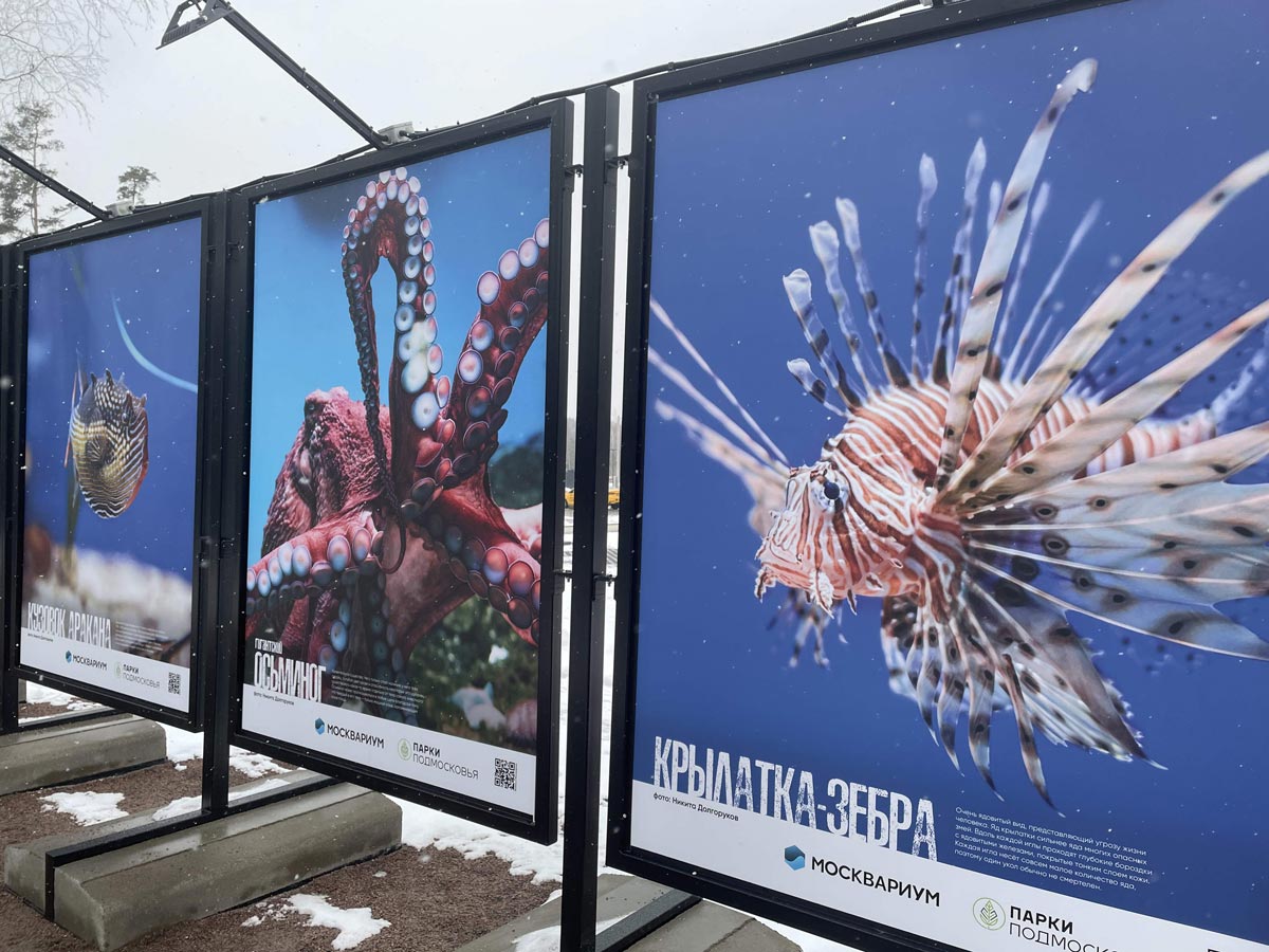 Выставка Москвариум