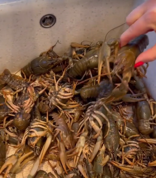 «Фу»: рак Волочковой вызвал у россиян ужас