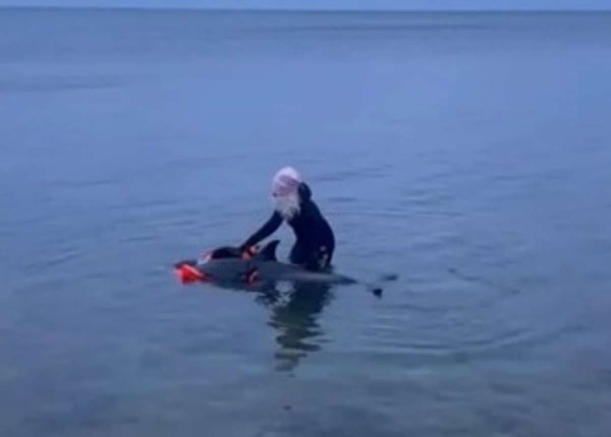 WhatsApp Image 2022-05-03 at 10.