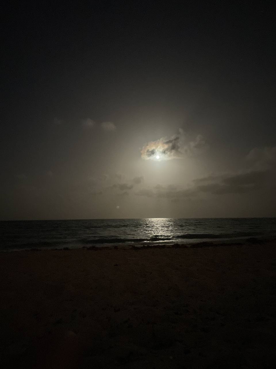 "Родилась клубничная Луна": восторженная Тодоренко объявила радостную новость