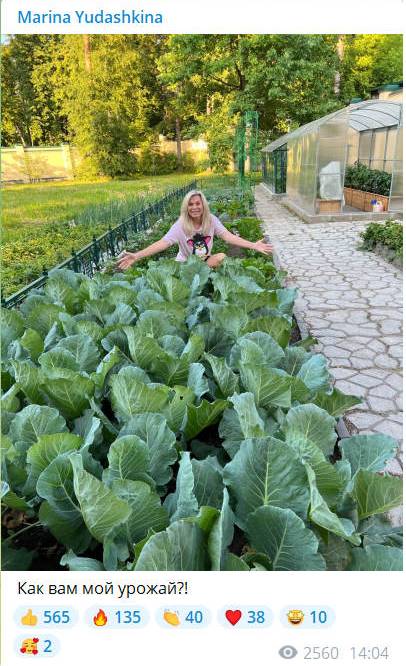 «Как вам мой»: жена превратившегося в старика Юдашкина взбудоражила редким домашним фото