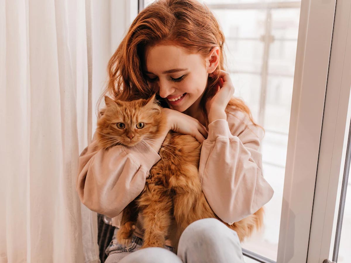10 способов проявления кошачьей любви к вам