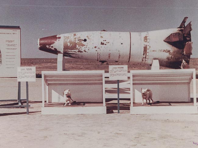 Ракета Р-2А с двумя собаками-испытателями (Пальма и Кусачка) на полигоне Капустин Яр