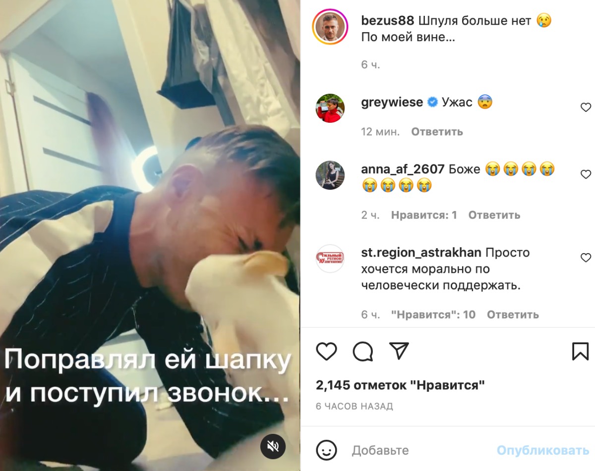 Отвлекся на телефон: малыша звезды «Дома-2» Леши Безуса сбили насмерть