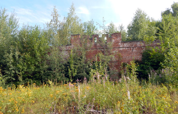 Раньше территорию использовал под свои нужды совхоз «Марфино». Теперь здесь запустение