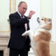Владимиру Путину чаще всего дарили собак и жеребцов