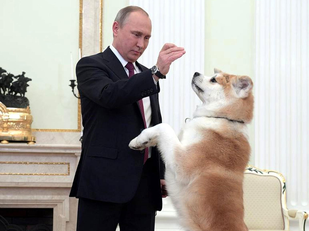 Владимиру Путину чаще всего дарили собак и жеребцов