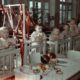 Советские ясли и детские сады пятидневки. Личные воспоминания