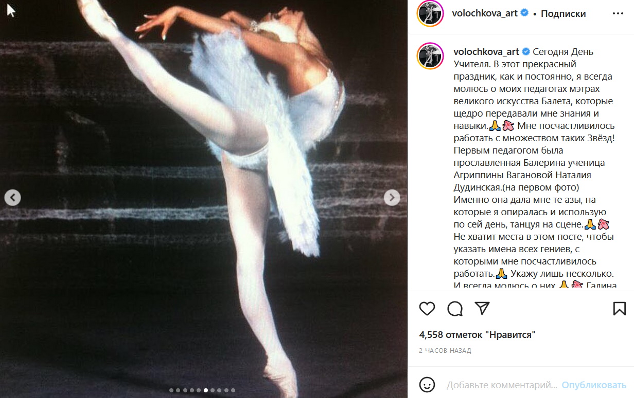 «Задравшая