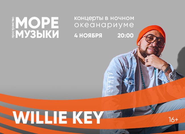 463x336_Willie-Key