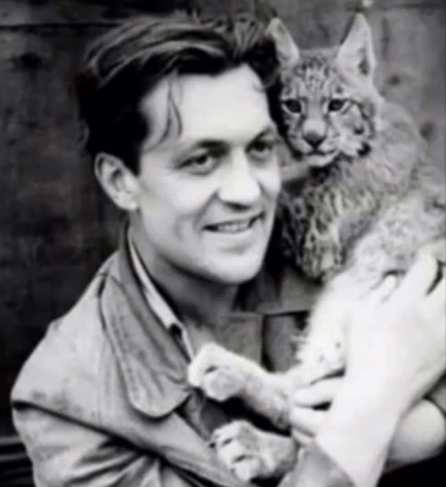 «Константин