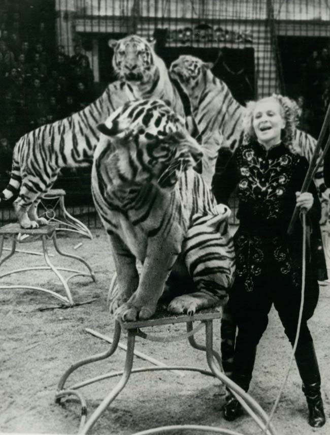 «Маргарита