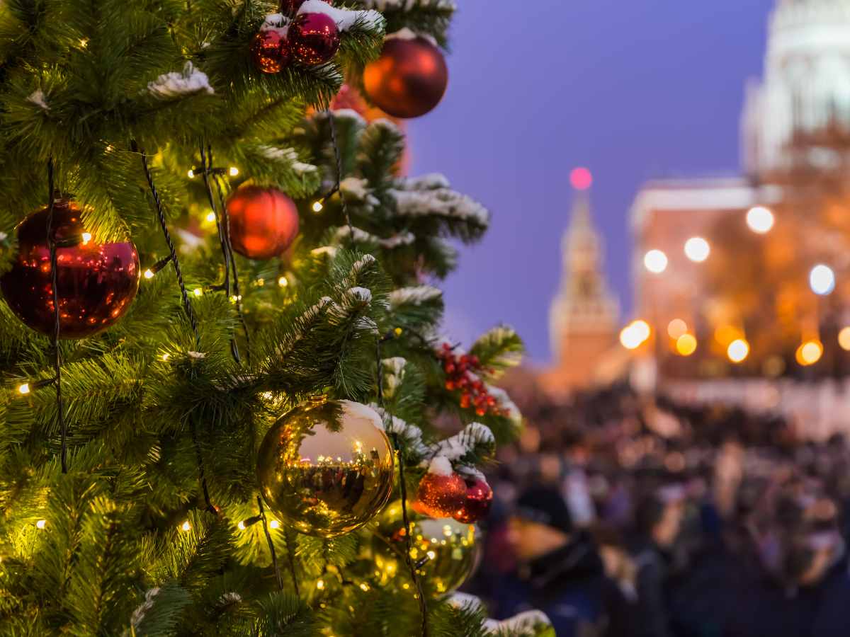 Как россиянам избежать огромных штрафов в новогодние праздники: совет эксперта