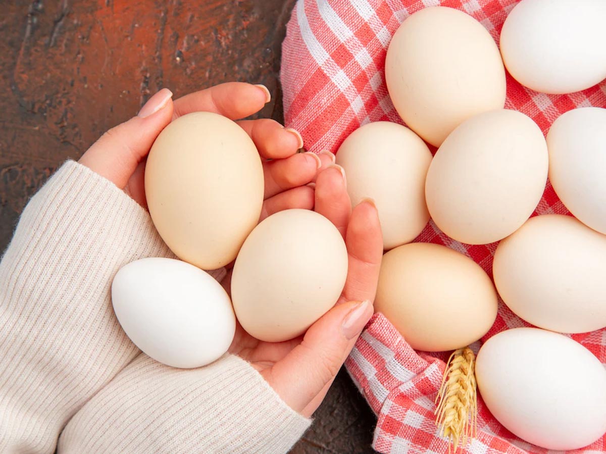 Интересные-факты-о-курином-яйце,-о-которых-вы-даже-не-задумывались