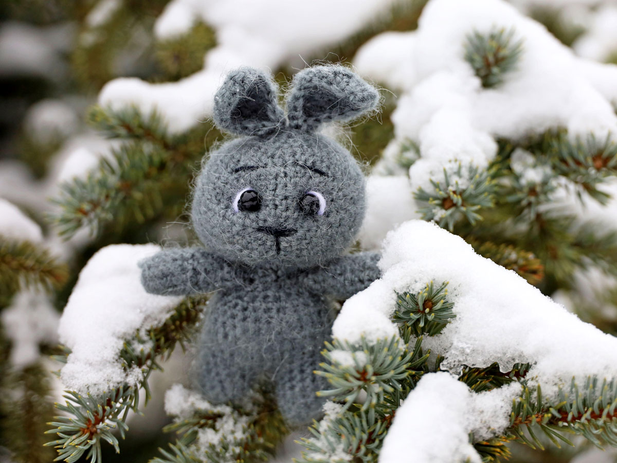 В год Кролика поводов для созидания и радости станет больше