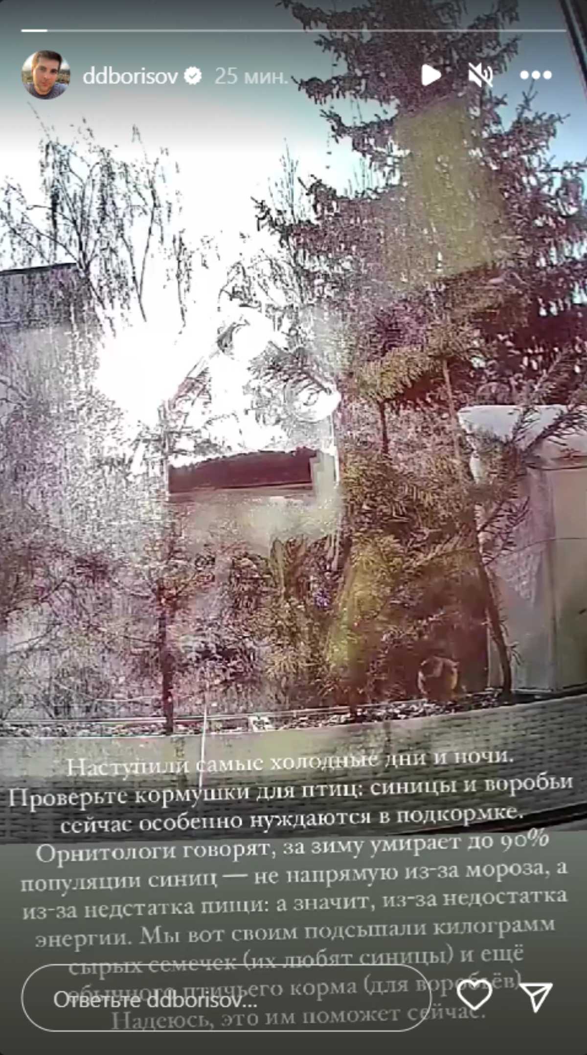 «Наступили самых холодные дни и ночи»: кого спасает от смерти ведущий Борисов