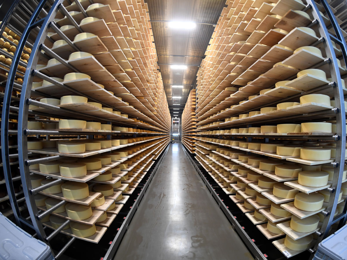 Сыр вашему дому: как отличить качественный продукт от суррогата из пальмового масла