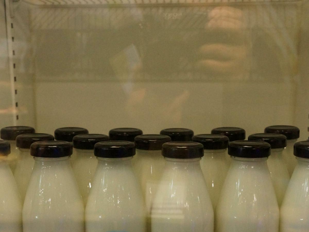 Производители молока начали водить россиян за нос: что не так с пакетами в 1 кг