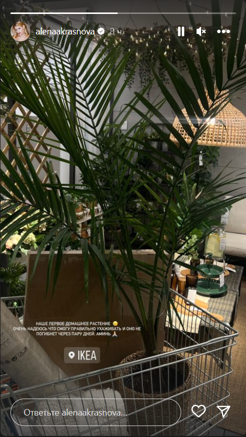 Роскошь осталась в России: жена Никиты Преснякова показала покупки из магазина для простых американцев