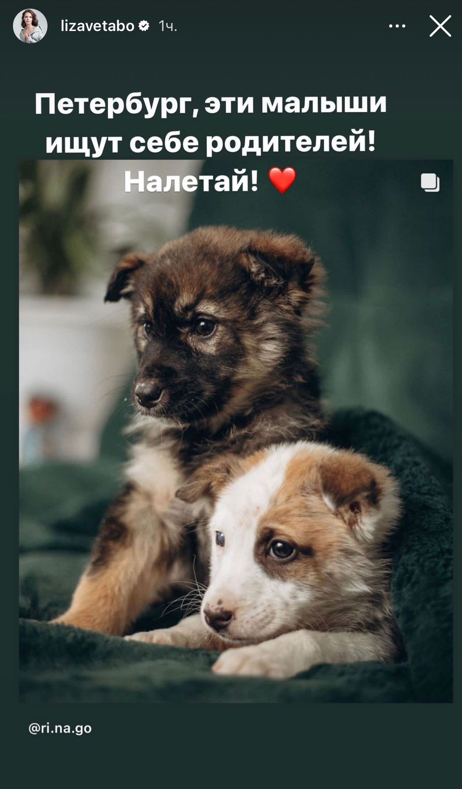 «Двойня»: сообщившая о раке Боярская впервые показала малышей