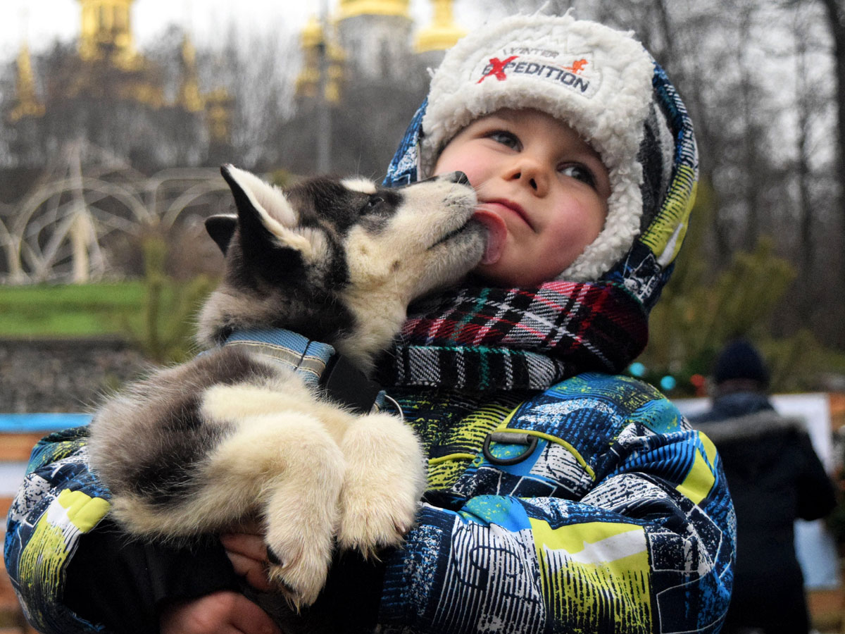 Скрип зубами во сне - к паразитам: не давайте ребенку целоваться с питомцами и есть суши