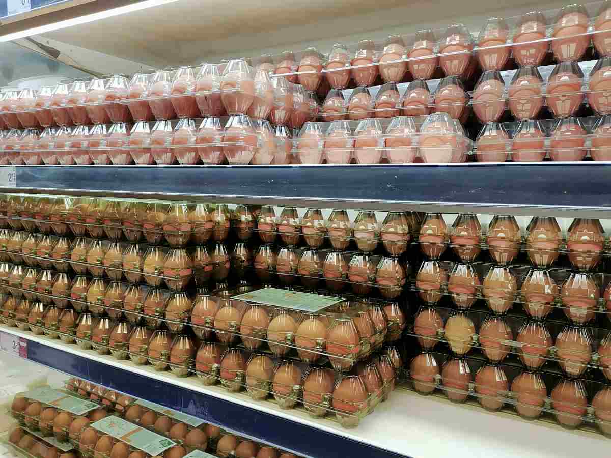 Как правильно выбрать яйца по категориям: советы эксперта
