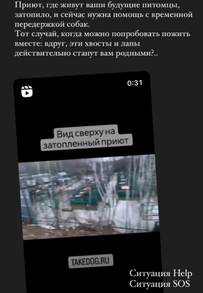 Жуткие кадры: последнее видео ликвидированного Дмитрия Борисова